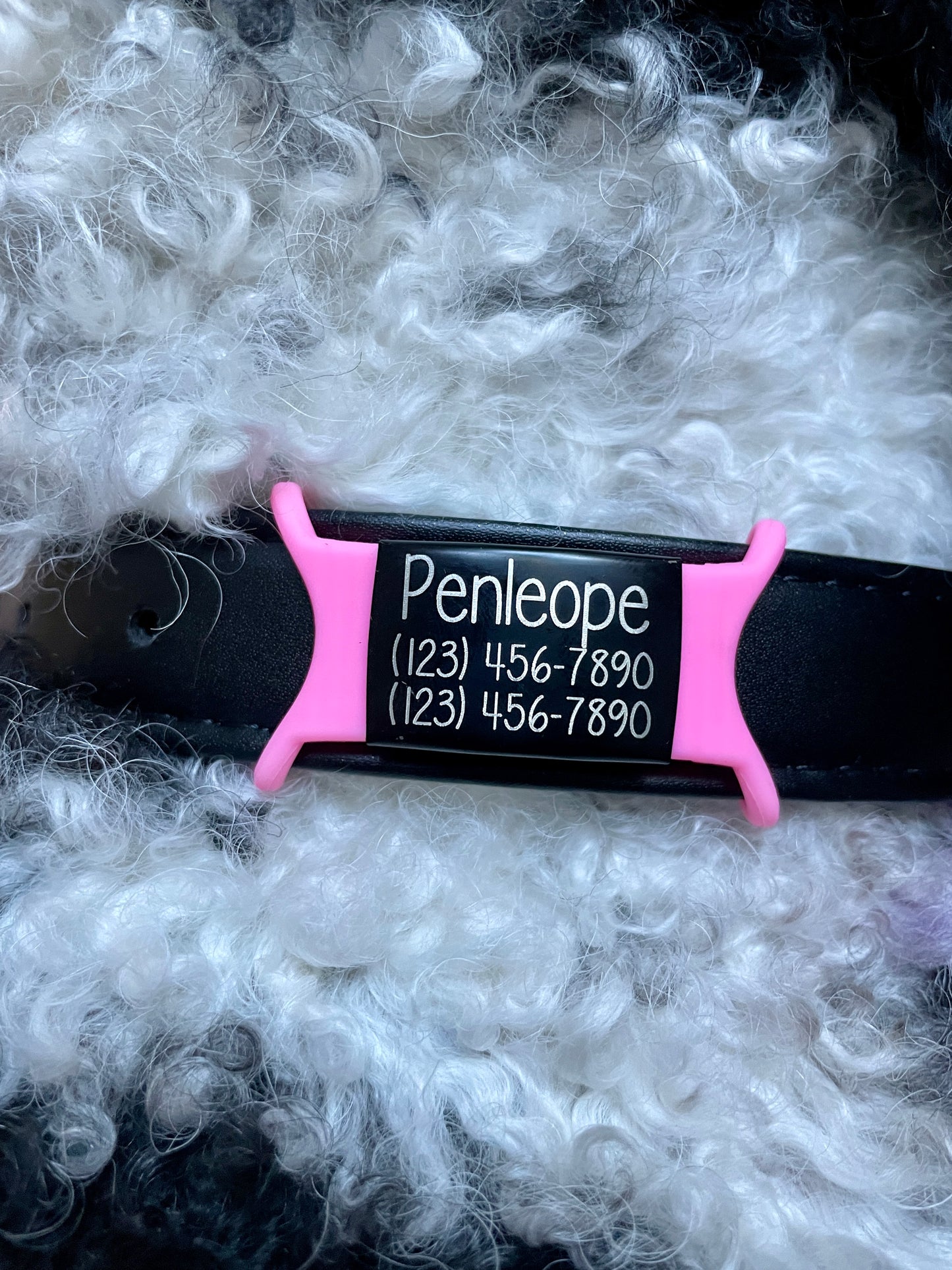 Slide On Pet ID Tags